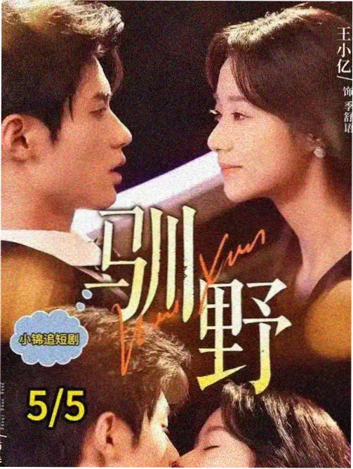 无极影音电视剧《长安十二时辰》